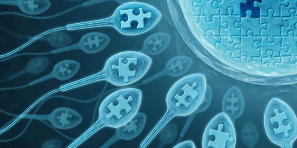 «Польза спермы для женского организма – это миф»: интервью с андрологом - arnoldrak-spb.ru