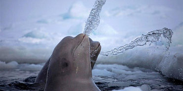 35e2b03946647df037e81f562821b784