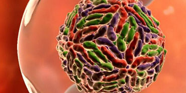 86f7f768288c6ab6b6d6676fb05e1ec8